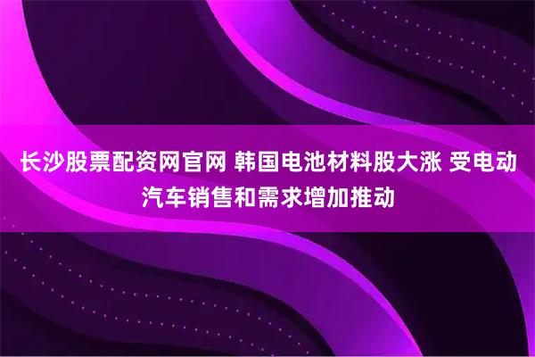 长沙股票配资网官网 韩国电池材料股大涨 受电动汽车销售和需求增加推动