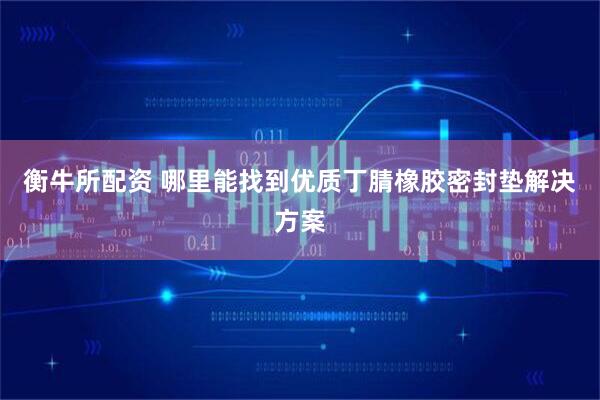 衡牛所配资 哪里能找到优质丁腈橡胶密封垫解决方案