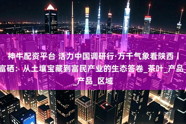 神牛配资平台 活力中国调研行·万千气象看陕西丨安康富硒：从土壤宝藏到富民产业的生态答卷_茶叶_产品_区域