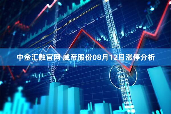 中金汇融官网 威帝股份08月12日涨停分析