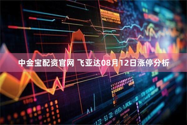 中金宝配资官网 飞亚达08月12日涨停分析