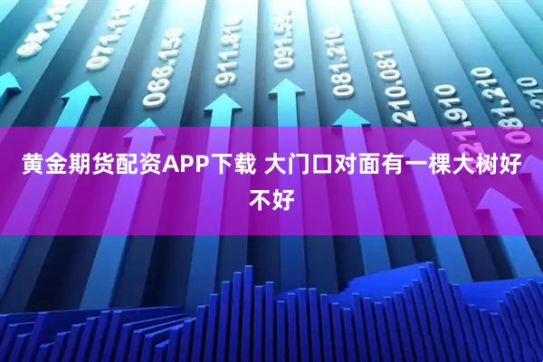 黄金期货配资APP下载 大门口对面有一棵大树好不好