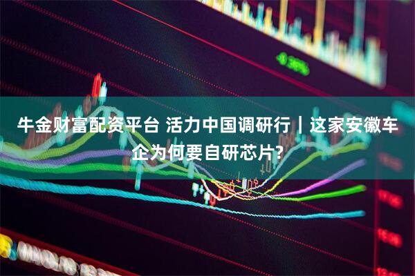 牛金财富配资平台 活力中国调研行｜这家安徽车企为何要自研芯片?